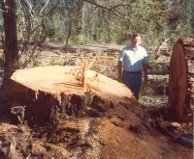 Don at a logging site in the Northwest
